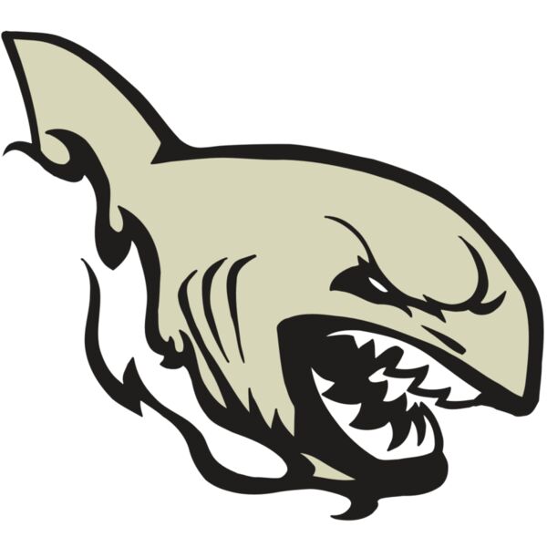 AR5 Shark 08 RQC Thumbnail