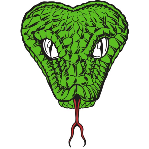 BAW SNAKE 08 RC Thumbnail